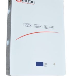 Deltron DTW Lithium Ion Battery